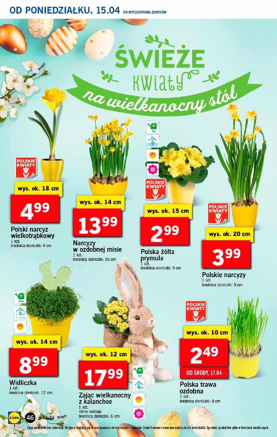 Gazetka promocyjna Lidl str. 46