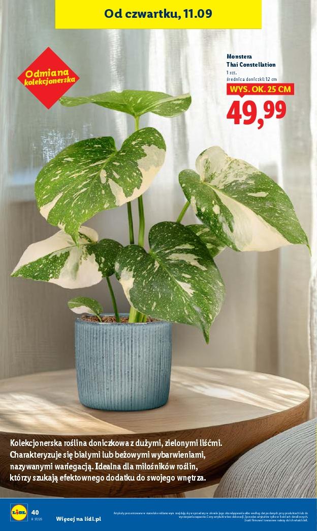 Gazetka promocyjna Lidl str. 46