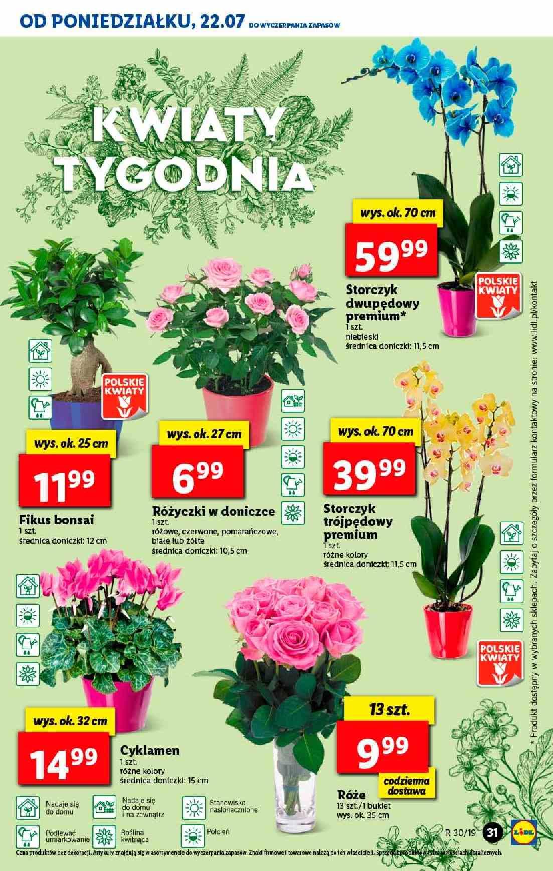 Gazetka promocyjna Lidl str. 31