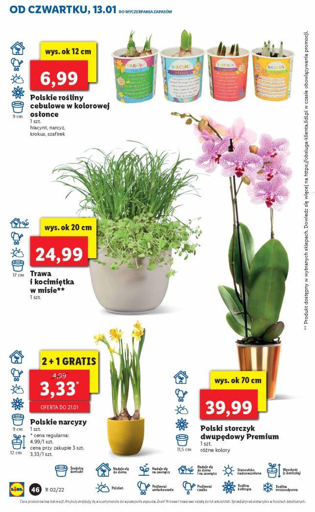 Gazetka promocyjna Lidl str. 46
