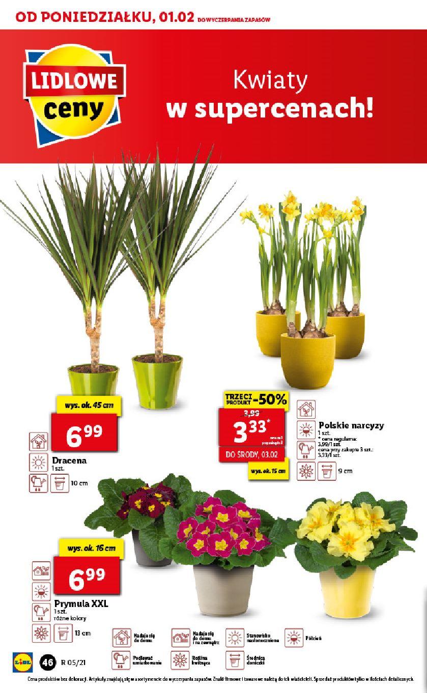 Gazetka promocyjna Lidl str. 46