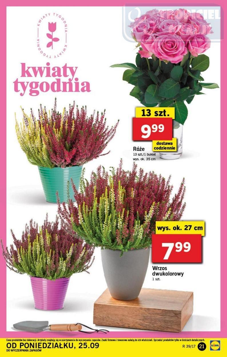 Gazetka promocyjna Lidl str. 21