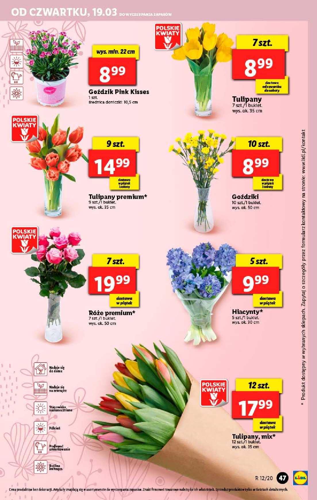 Gazetka promocyjna Lidl str. 47