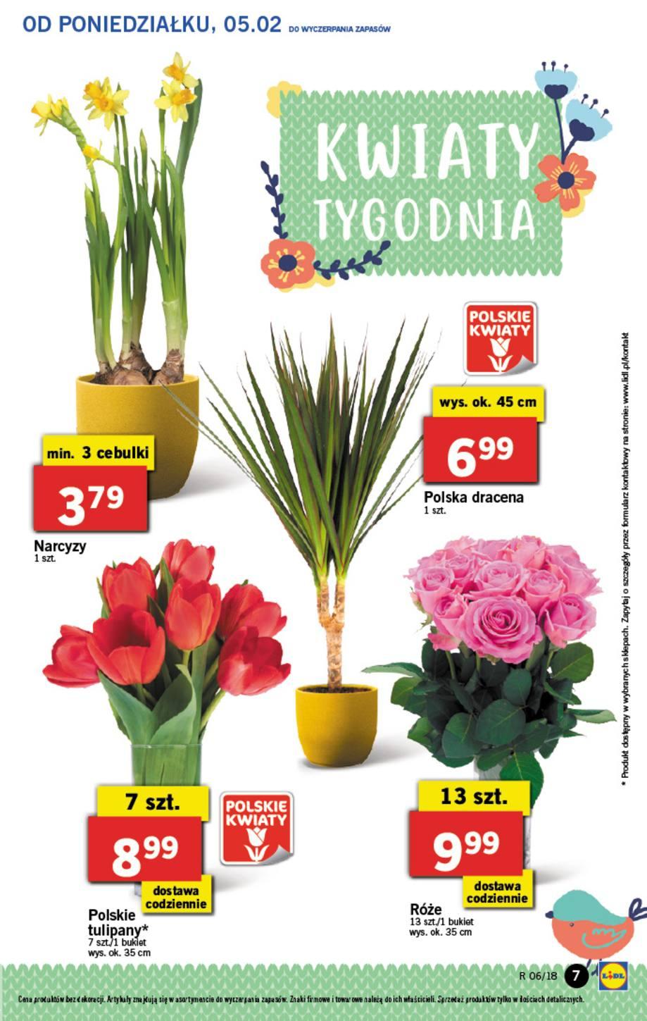 Gazetka promocyjna Lidl str. 7