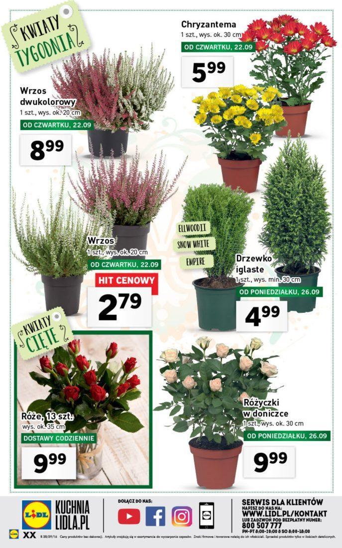 Gazetka promocyjna Lidl str. 20