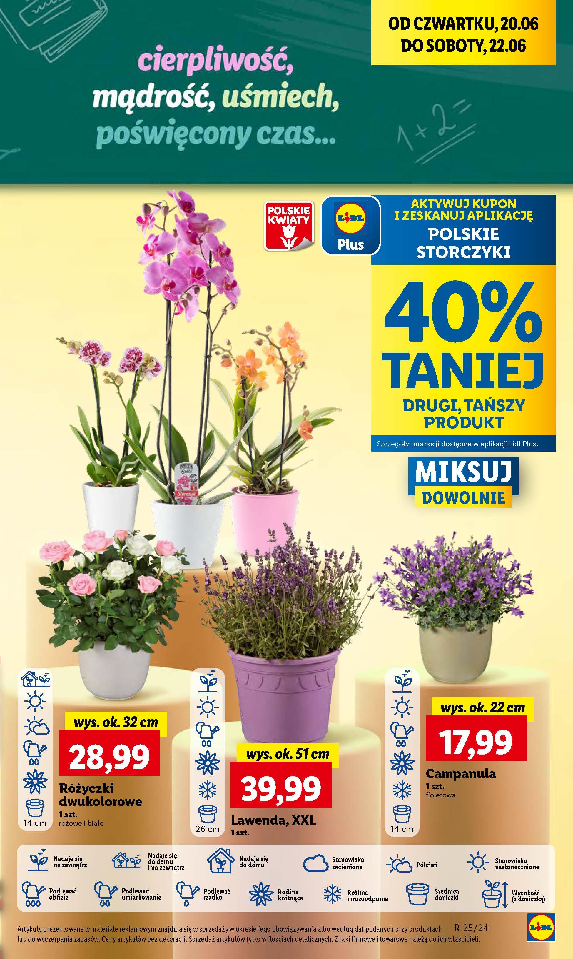 Gazetka promocyjna Lidl str. 53