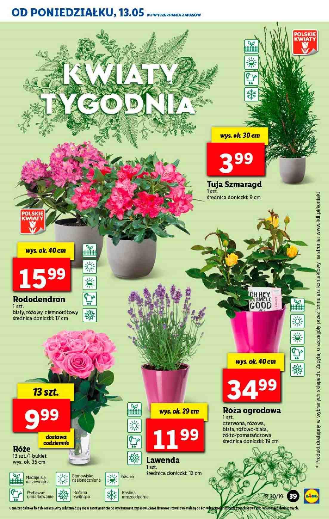 Gazetka promocyjna Lidl str. 39