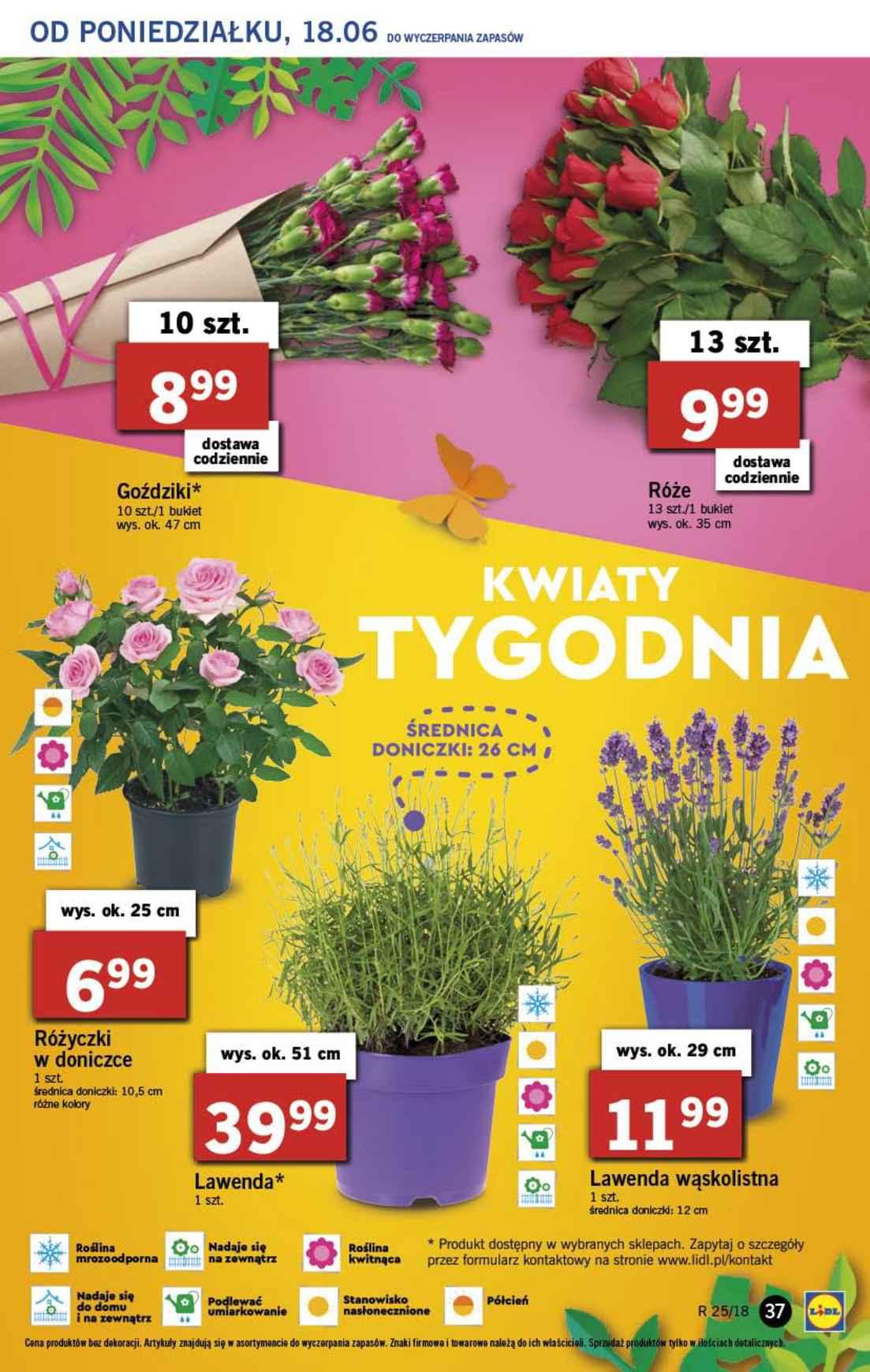 Gazetka promocyjna Lidl str. 37