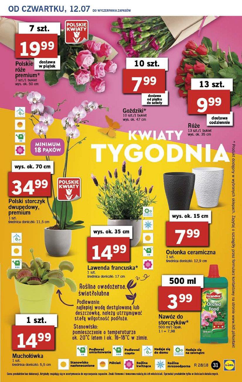 Gazetka promocyjna Lidl str. 31