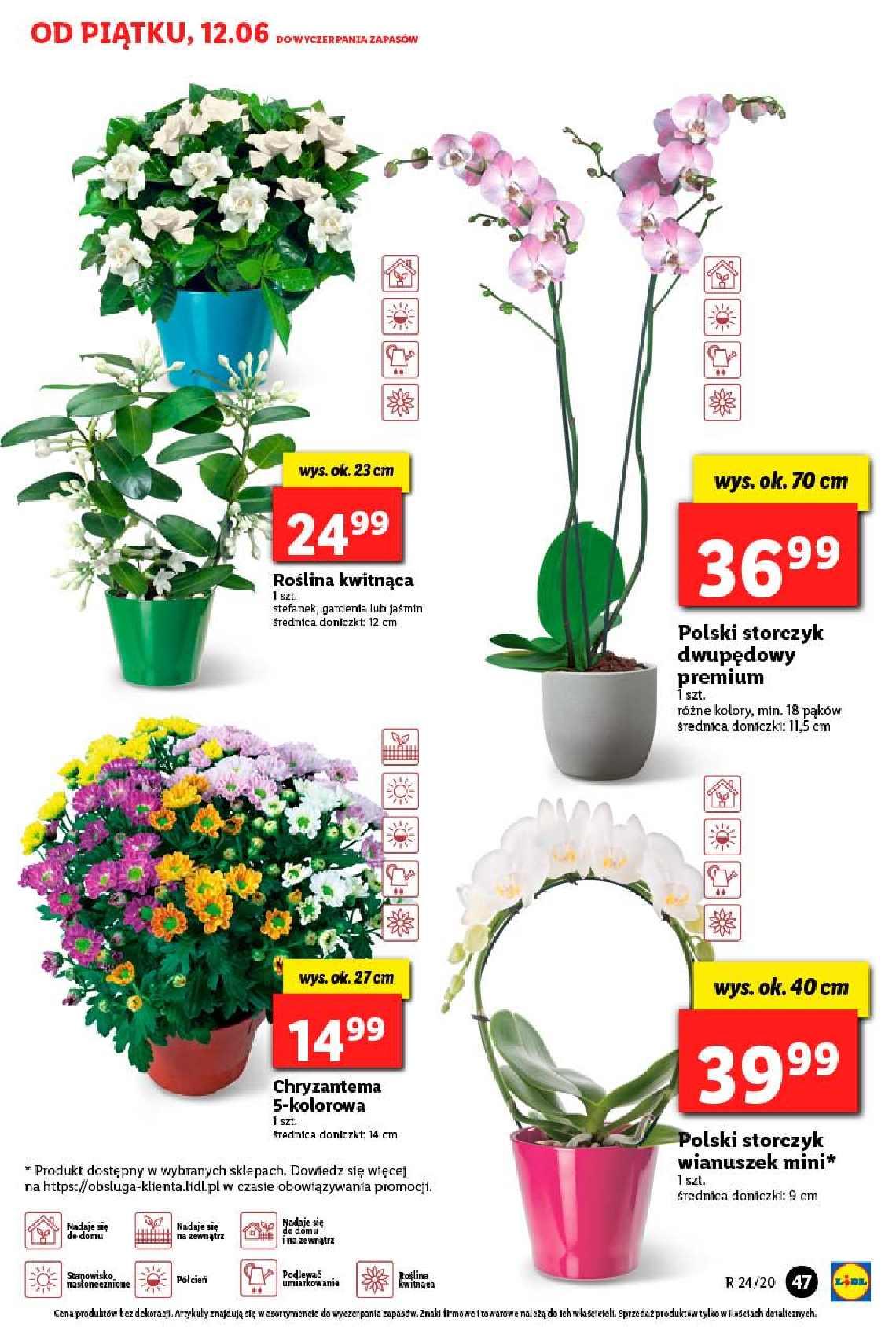 Gazetka promocyjna Lidl str. 47