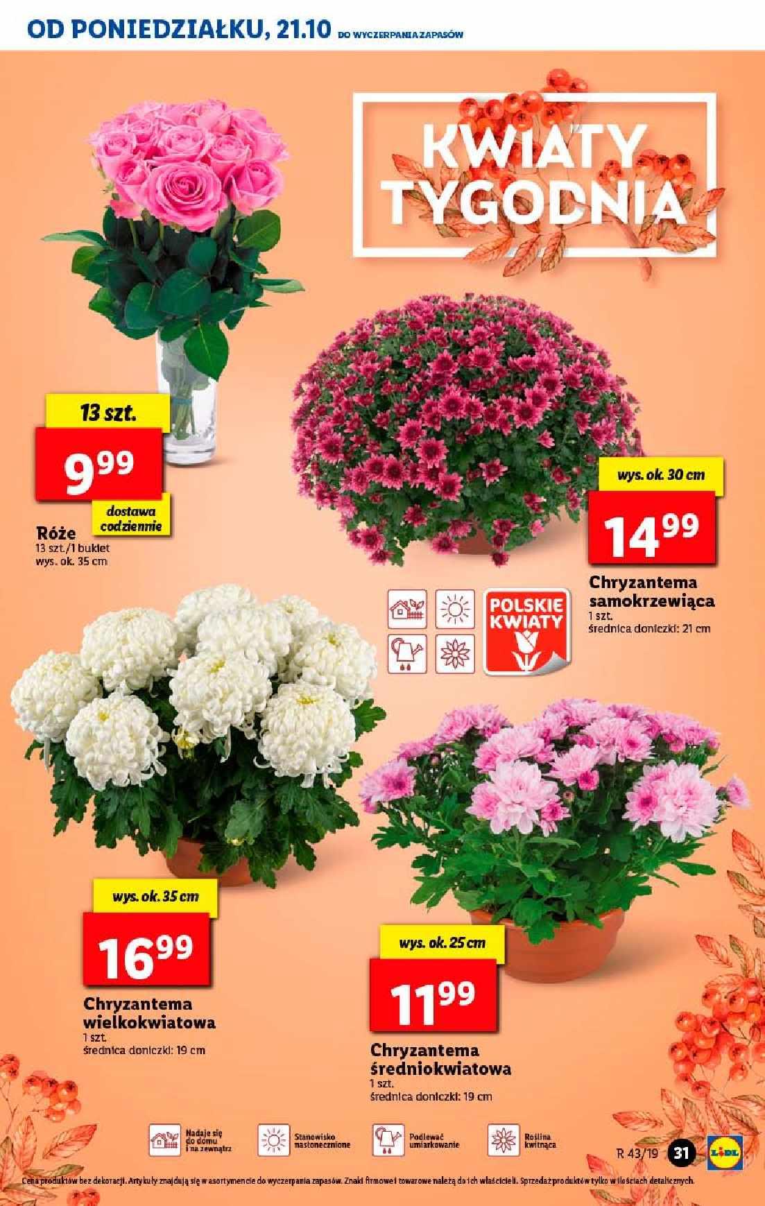 Gazetka promocyjna Lidl str. 31