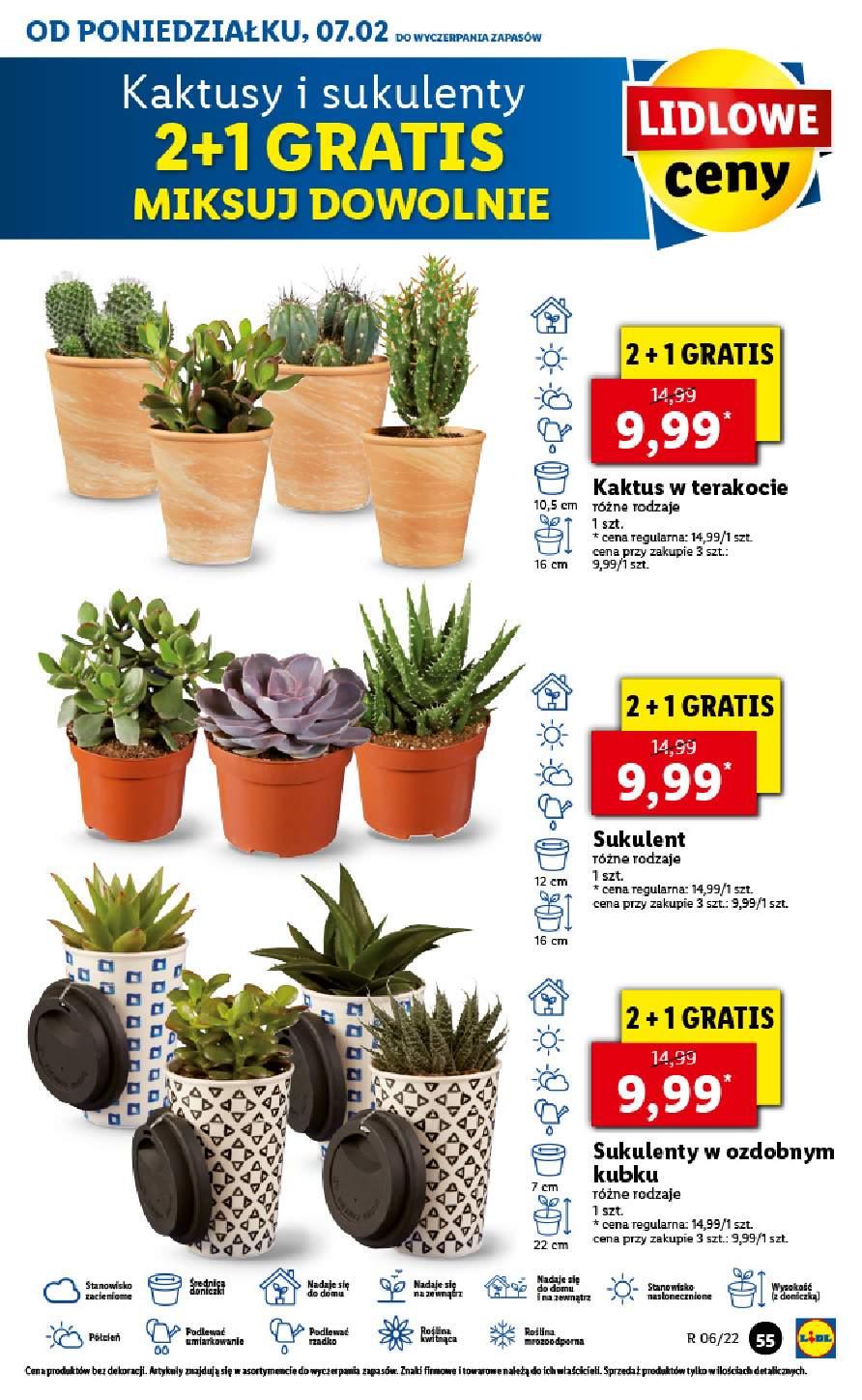 Gazetka promocyjna Lidl str. 55