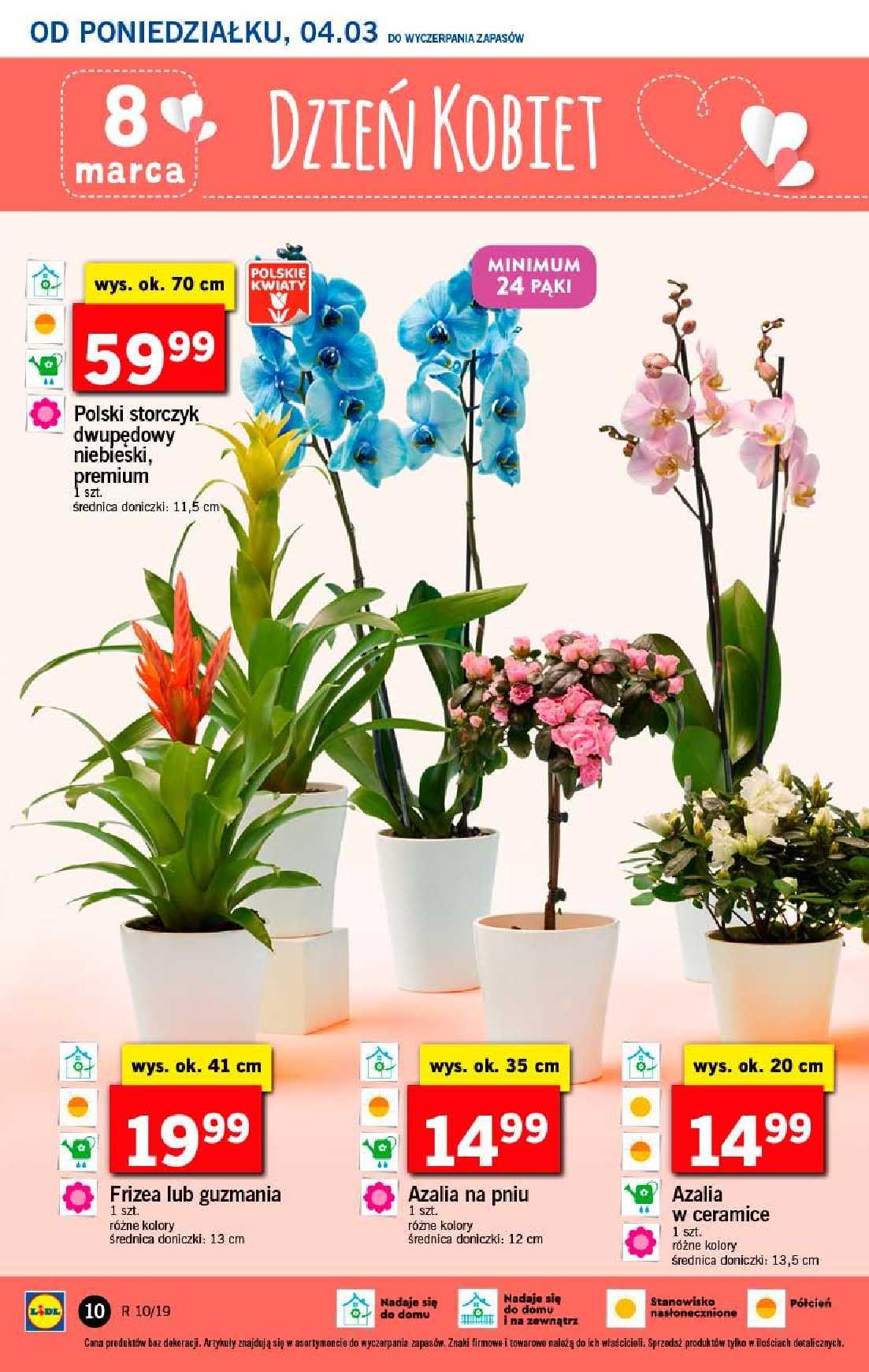 Gazetka promocyjna Lidl str. 10