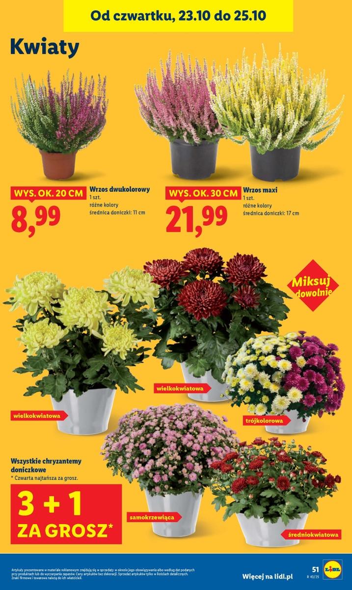 Gazetka promocyjna Lidl str. 54