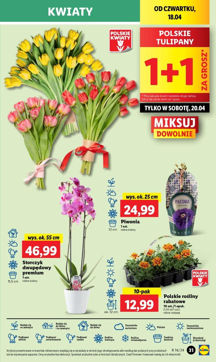 Gazetka promocyjna Lidl str. 42