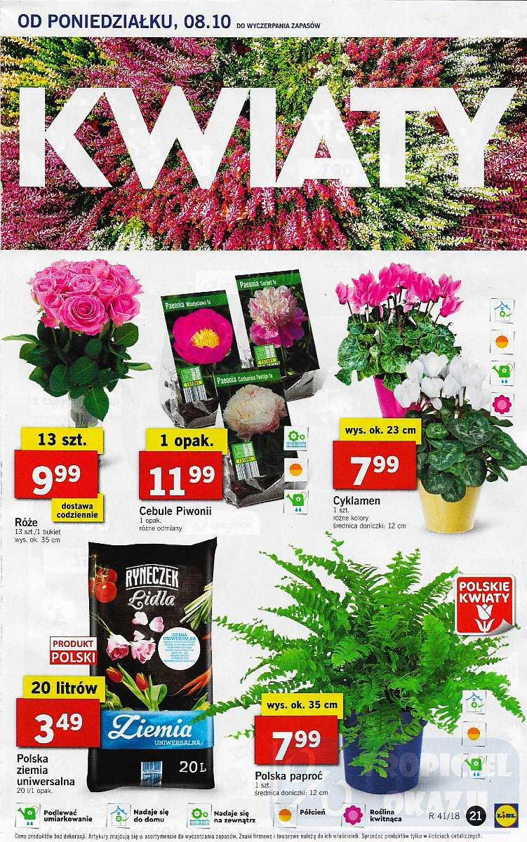 Gazetka promocyjna Lidl str. 21