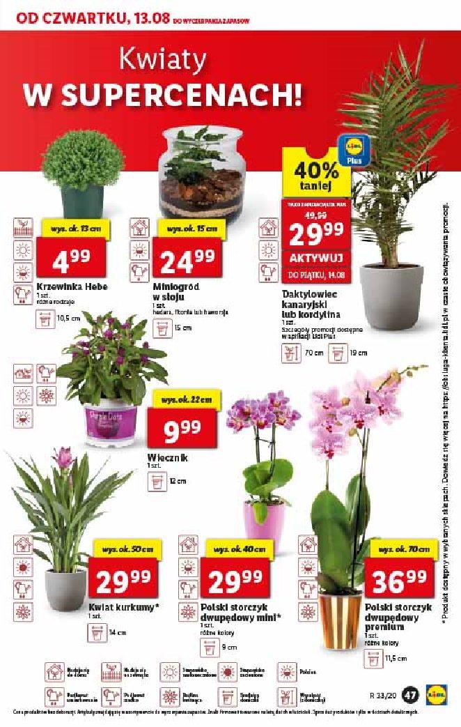 Gazetka promocyjna Lidl str. 47