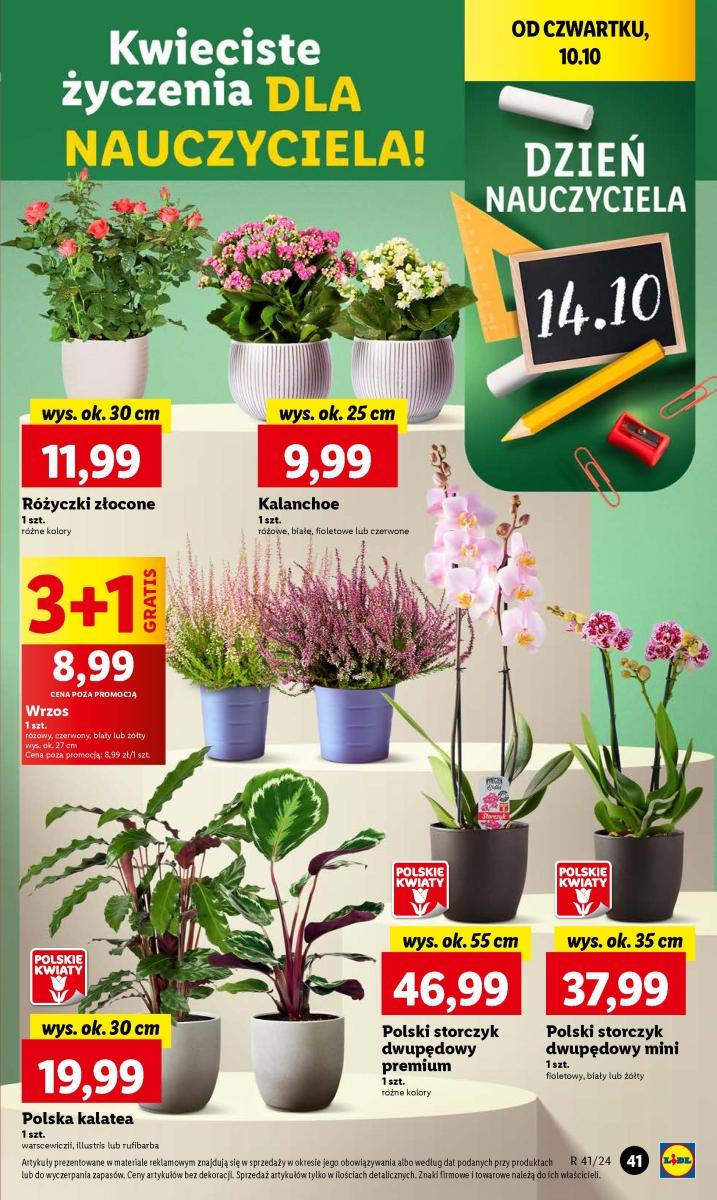 Gazetka promocyjna Lidl str. 47