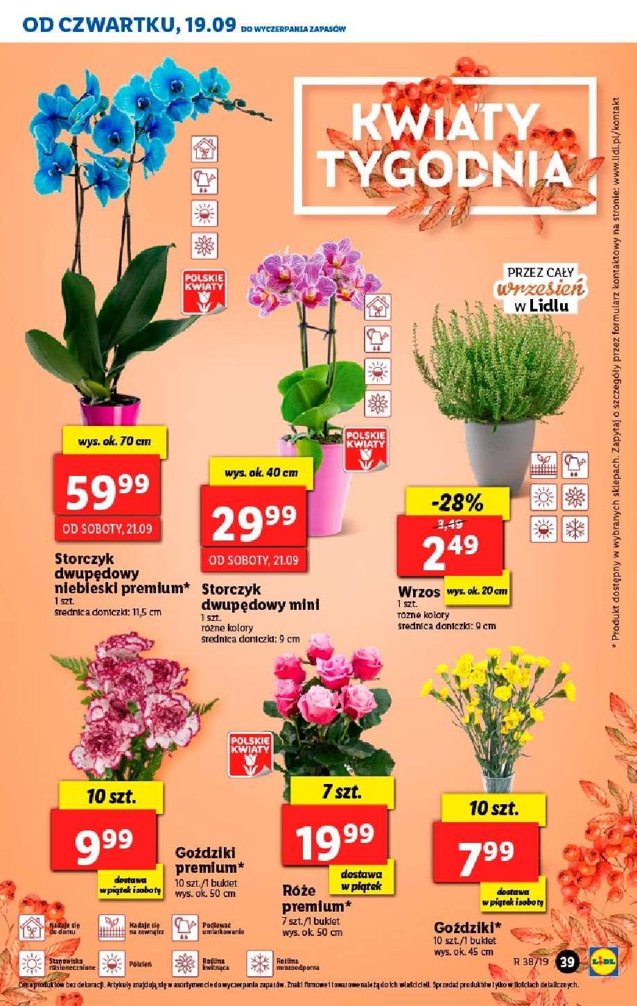 Gazetka promocyjna Lidl str. 39