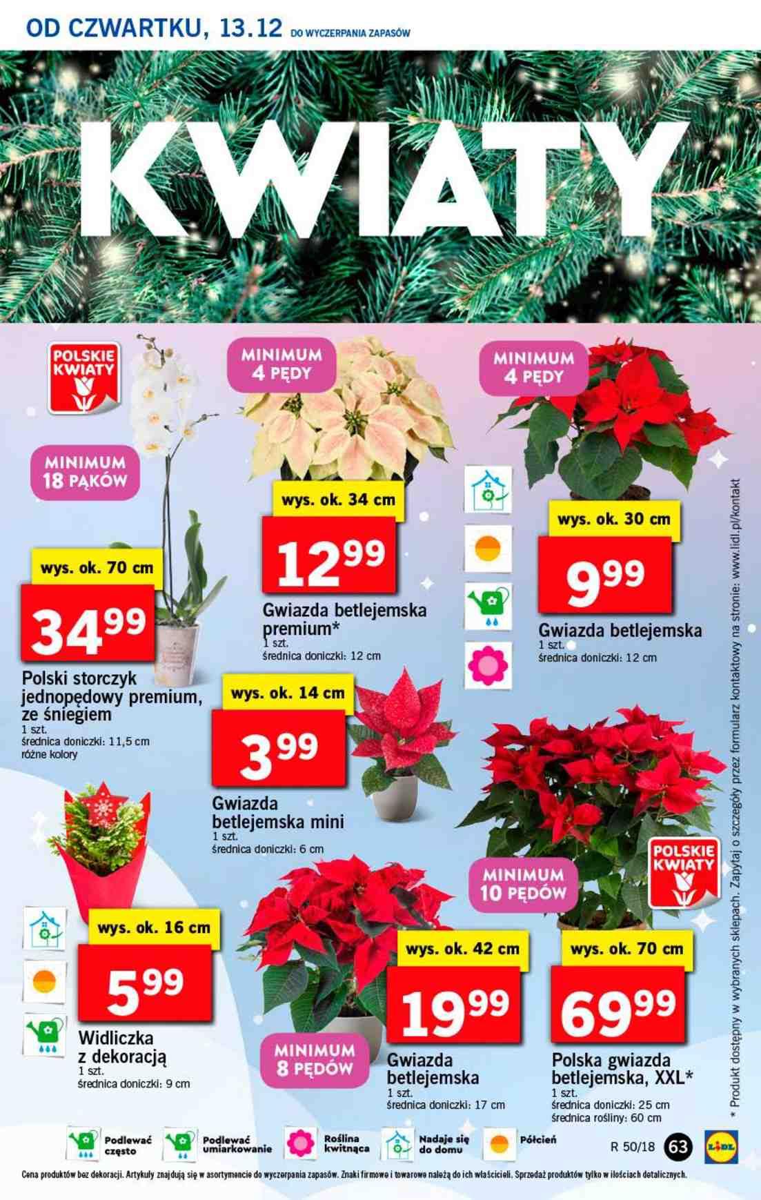 Gazetka promocyjna Lidl str. 63