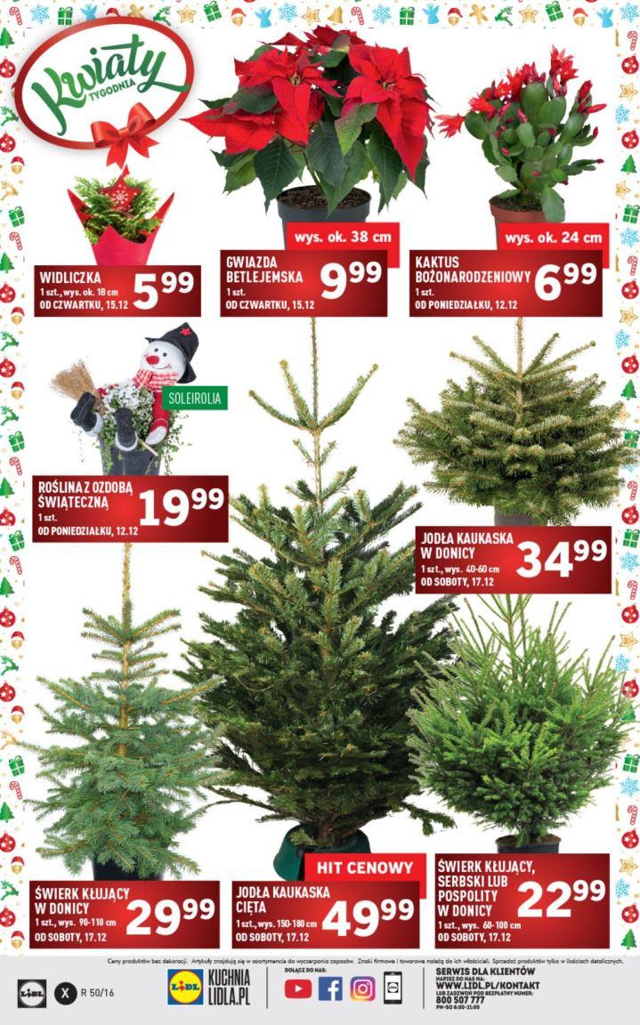 Gazetka promocyjna Lidl str. 32