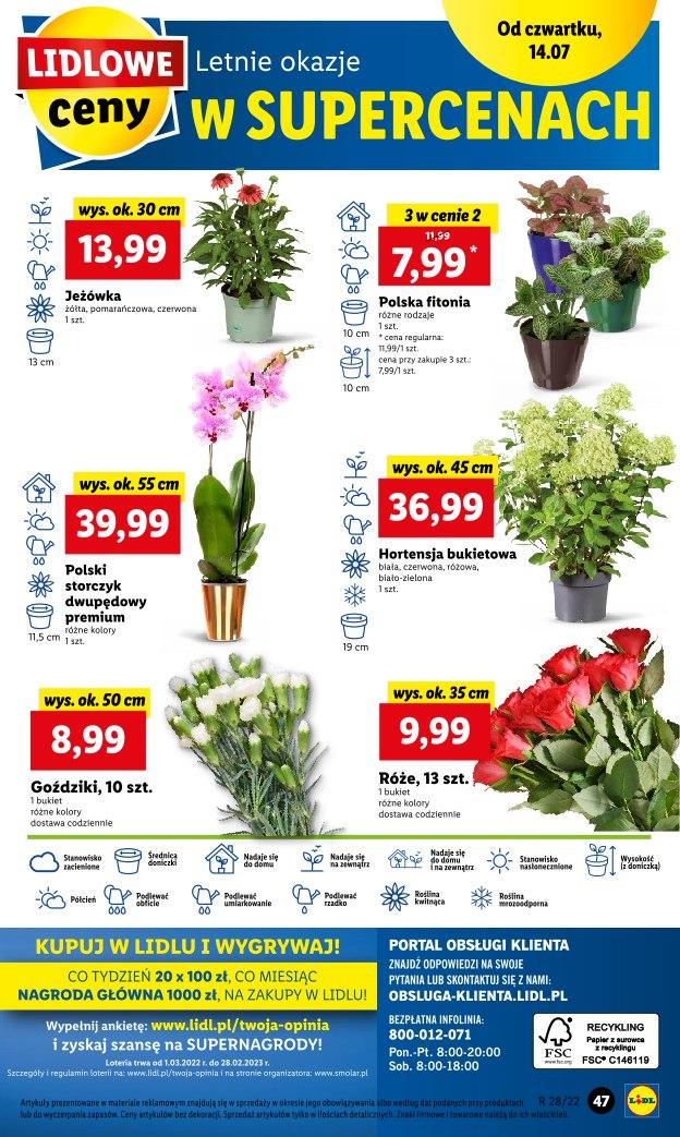 Gazetka promocyjna Lidl str. 47