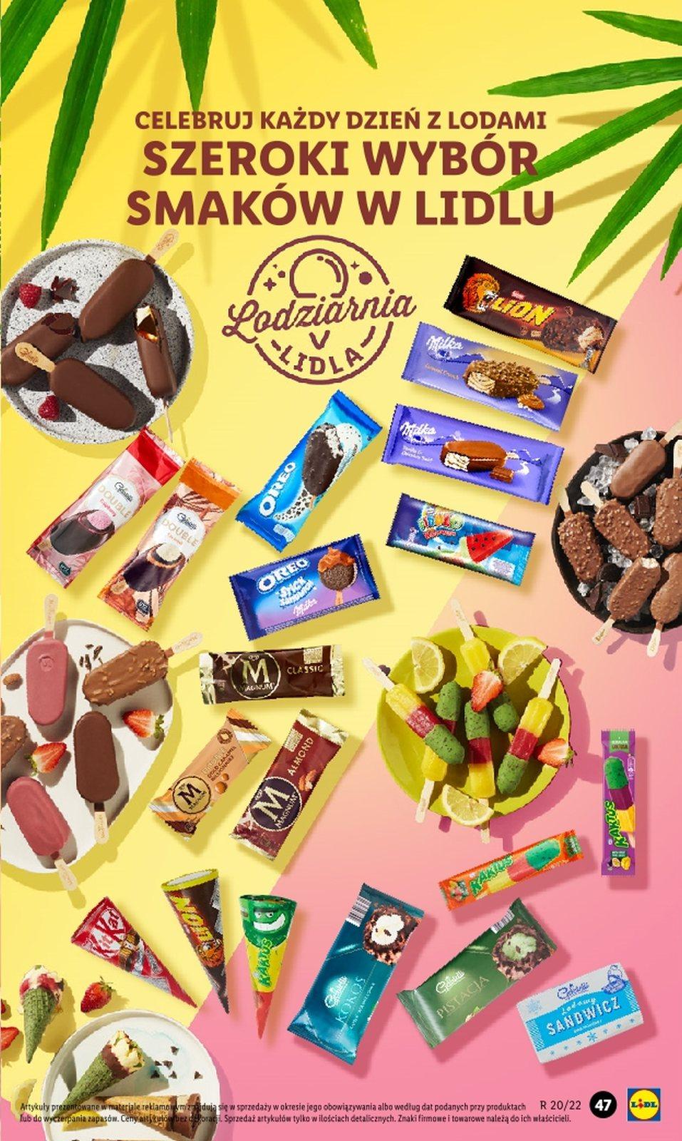 Gazetka promocyjna Lidl str. 47