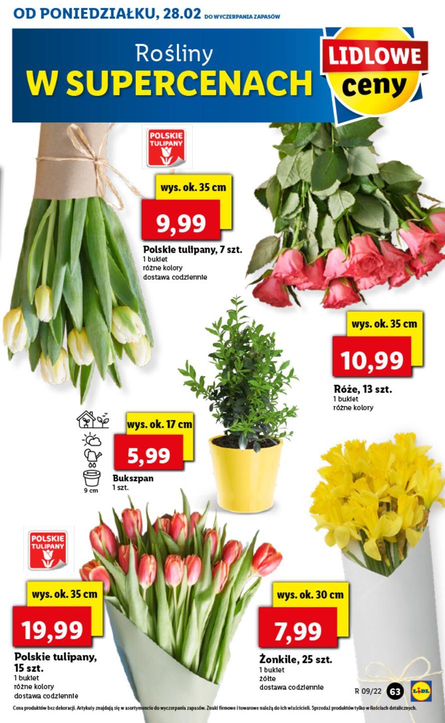 Gazetka promocyjna Lidl str. 62