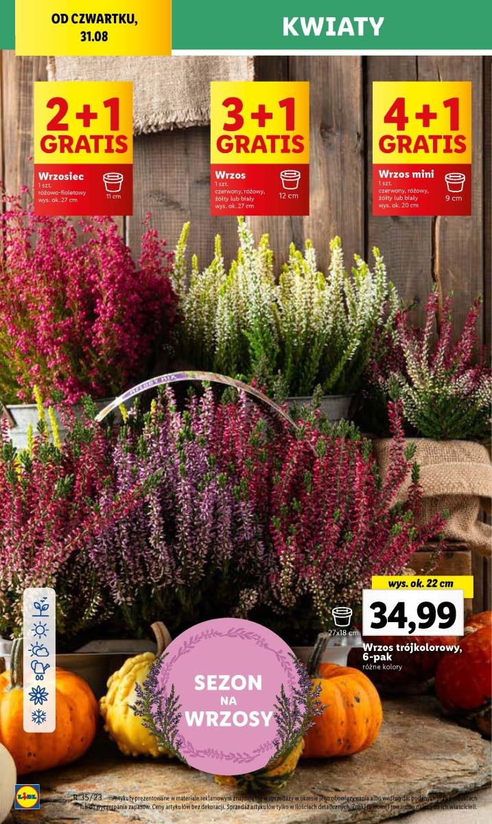 Gazetka promocyjna Lidl str. 66