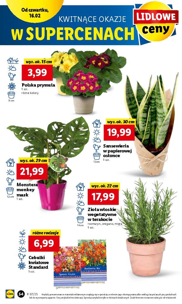 Gazetka promocyjna Lidl str. 56