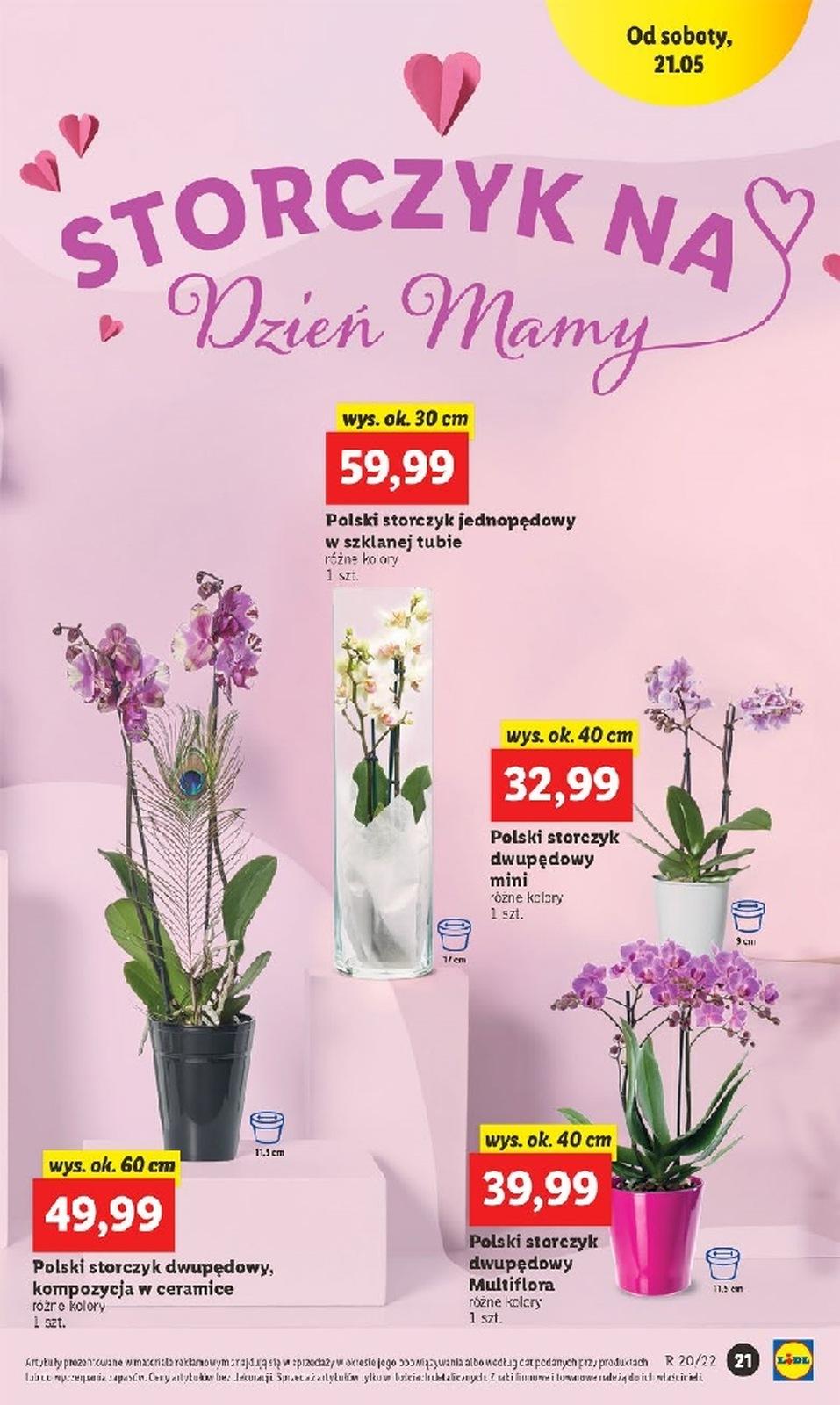 Gazetka promocyjna Lidl str. 21