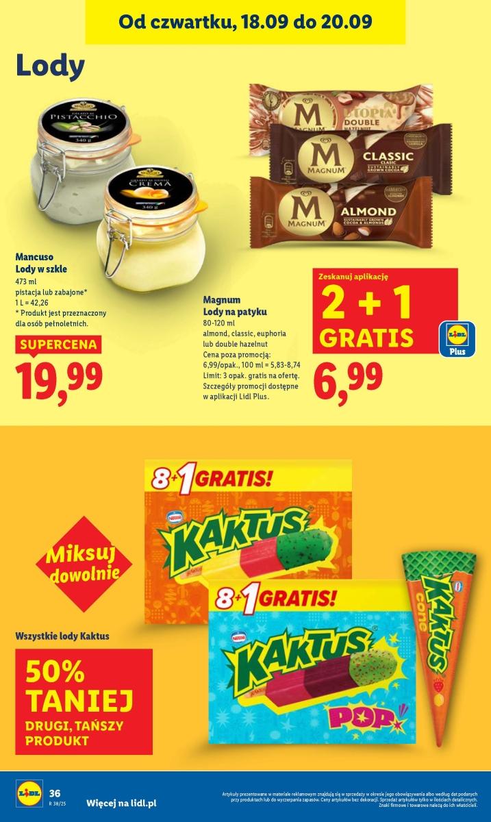 Gazetka promocyjna Lidl str. 42