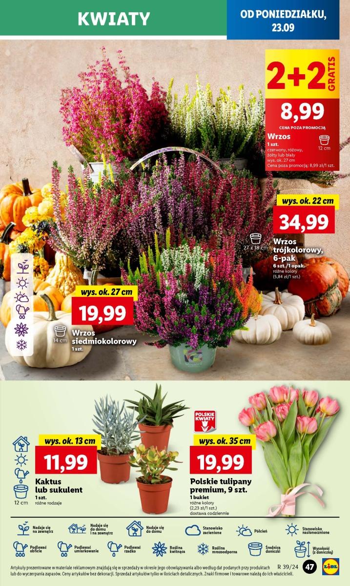 Gazetka promocyjna Lidl str. 53