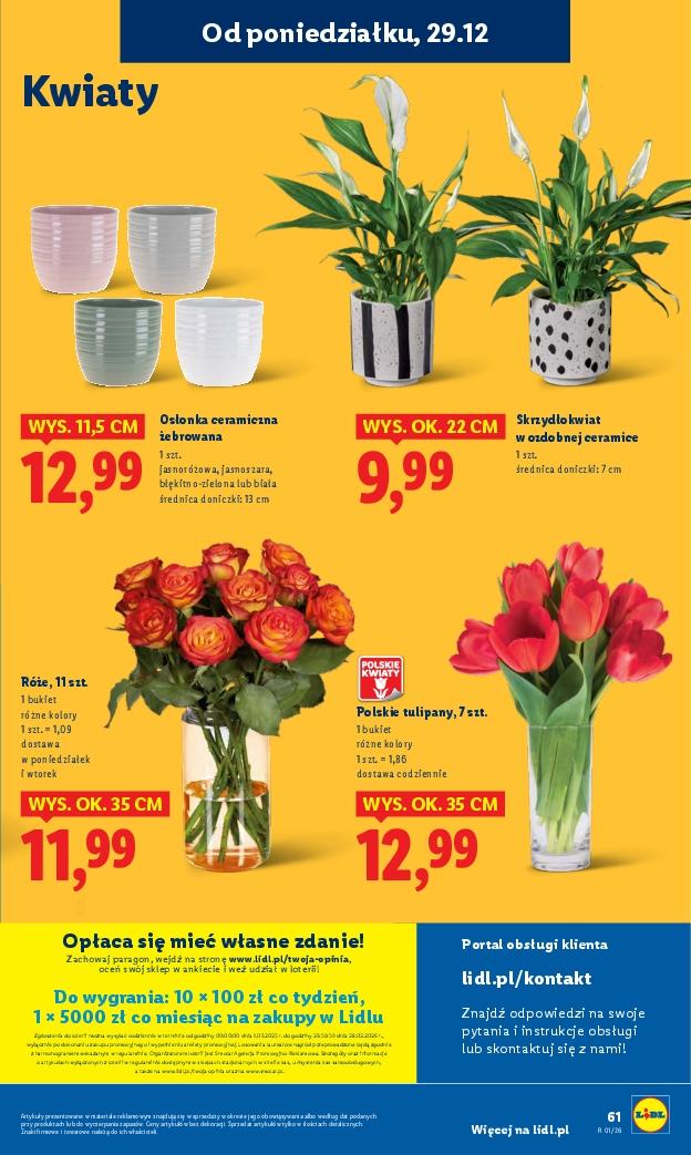 Gazetka promocyjna Lidl str. 61