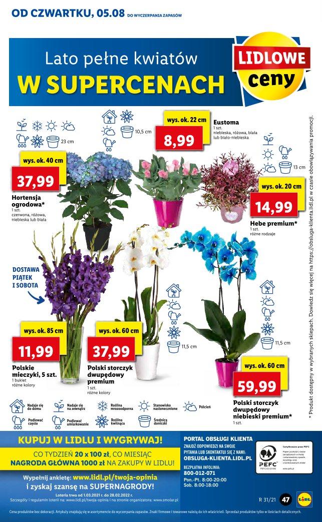 Gazetka promocyjna Lidl str. 47