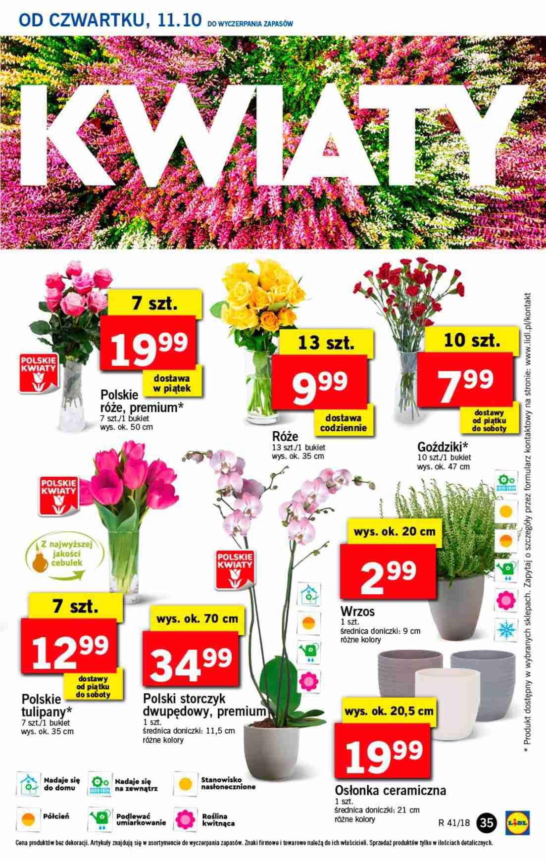 Gazetka promocyjna Lidl str. 35