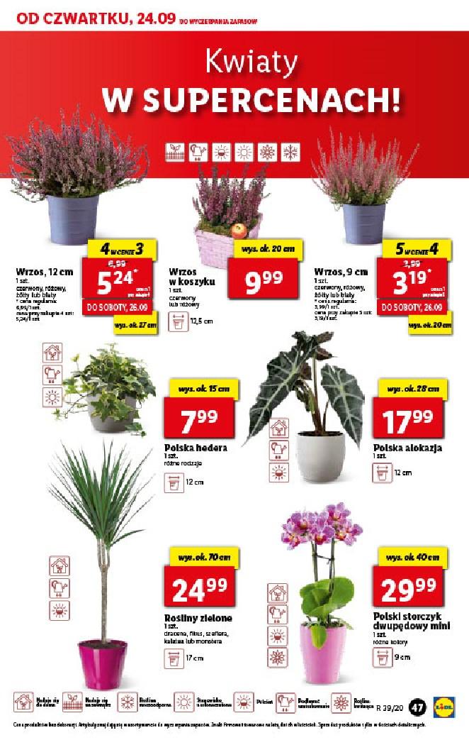 Gazetka promocyjna Lidl str. 47