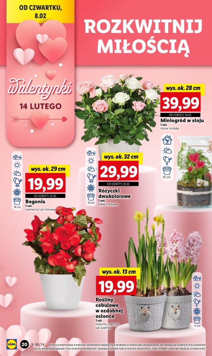 Gazetka promocyjna Lidl str. 24