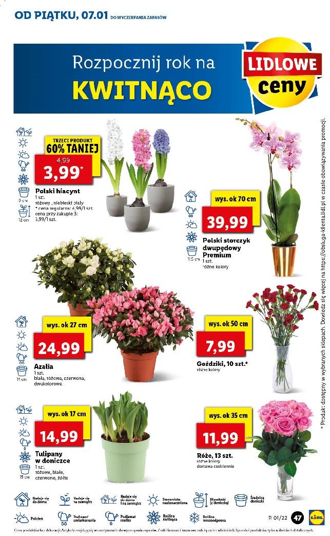 Gazetka promocyjna Lidl str. 47