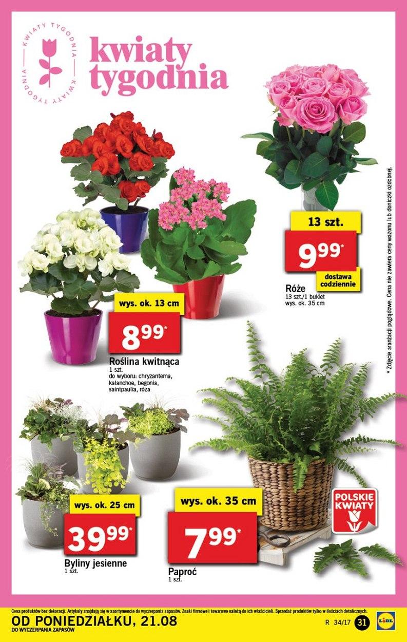 Gazetka promocyjna Lidl str. 31