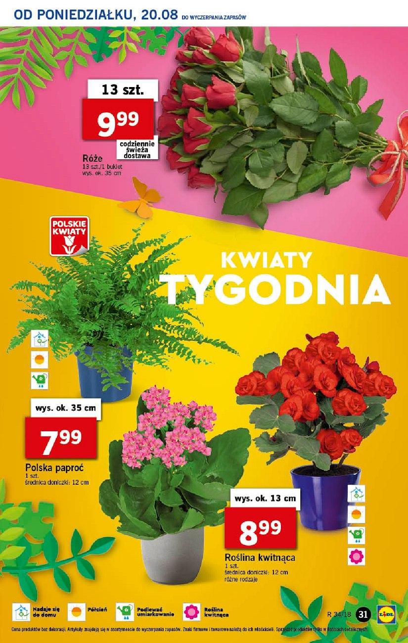 Gazetka promocyjna Lidl str. 31