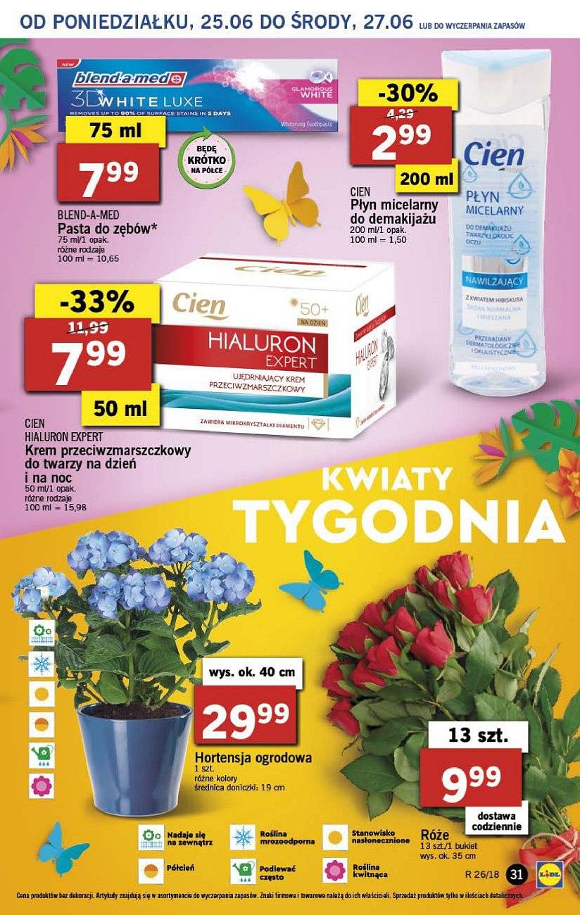 Gazetka promocyjna Lidl str. 31