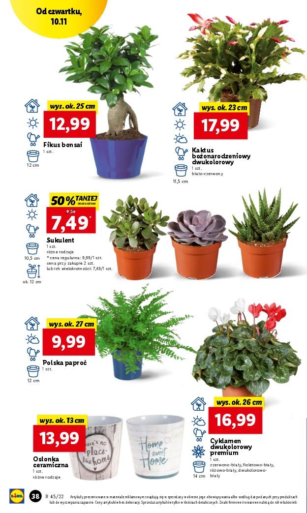 Gazetka promocyjna Lidl str. 38
