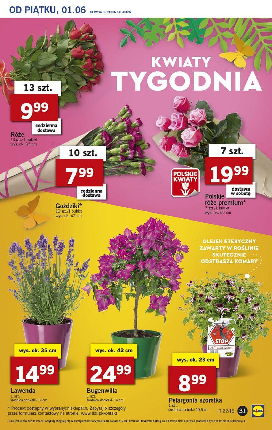 Gazetka promocyjna Lidl str. 31