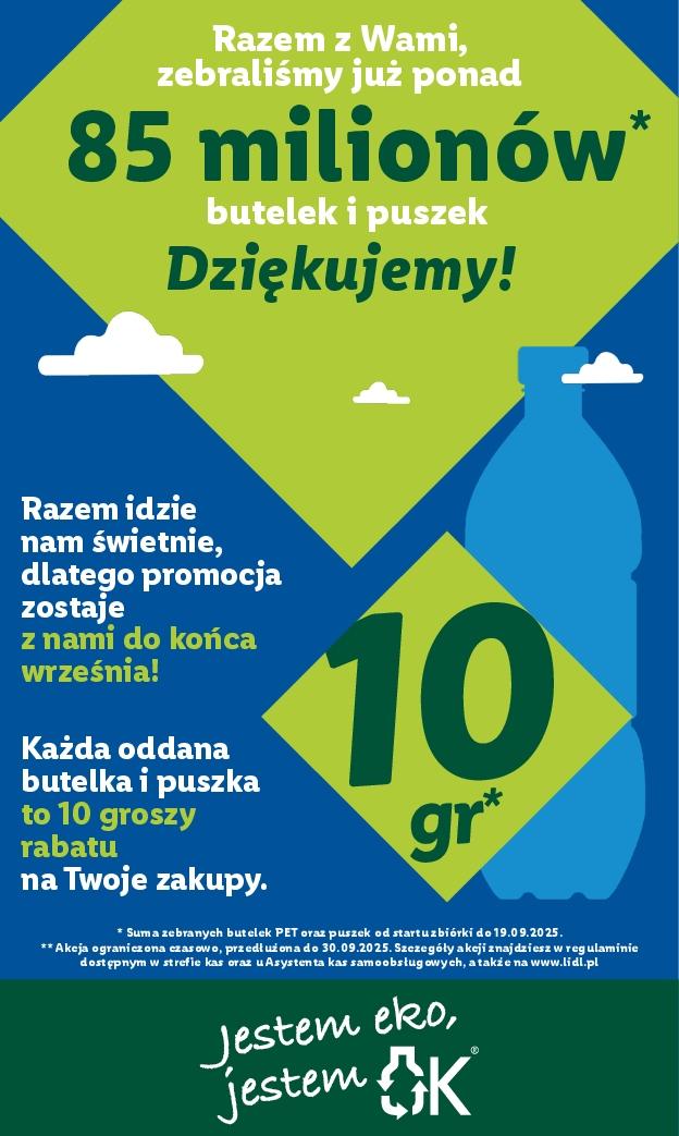 Gazetka promocyjna Lidl str. 31
