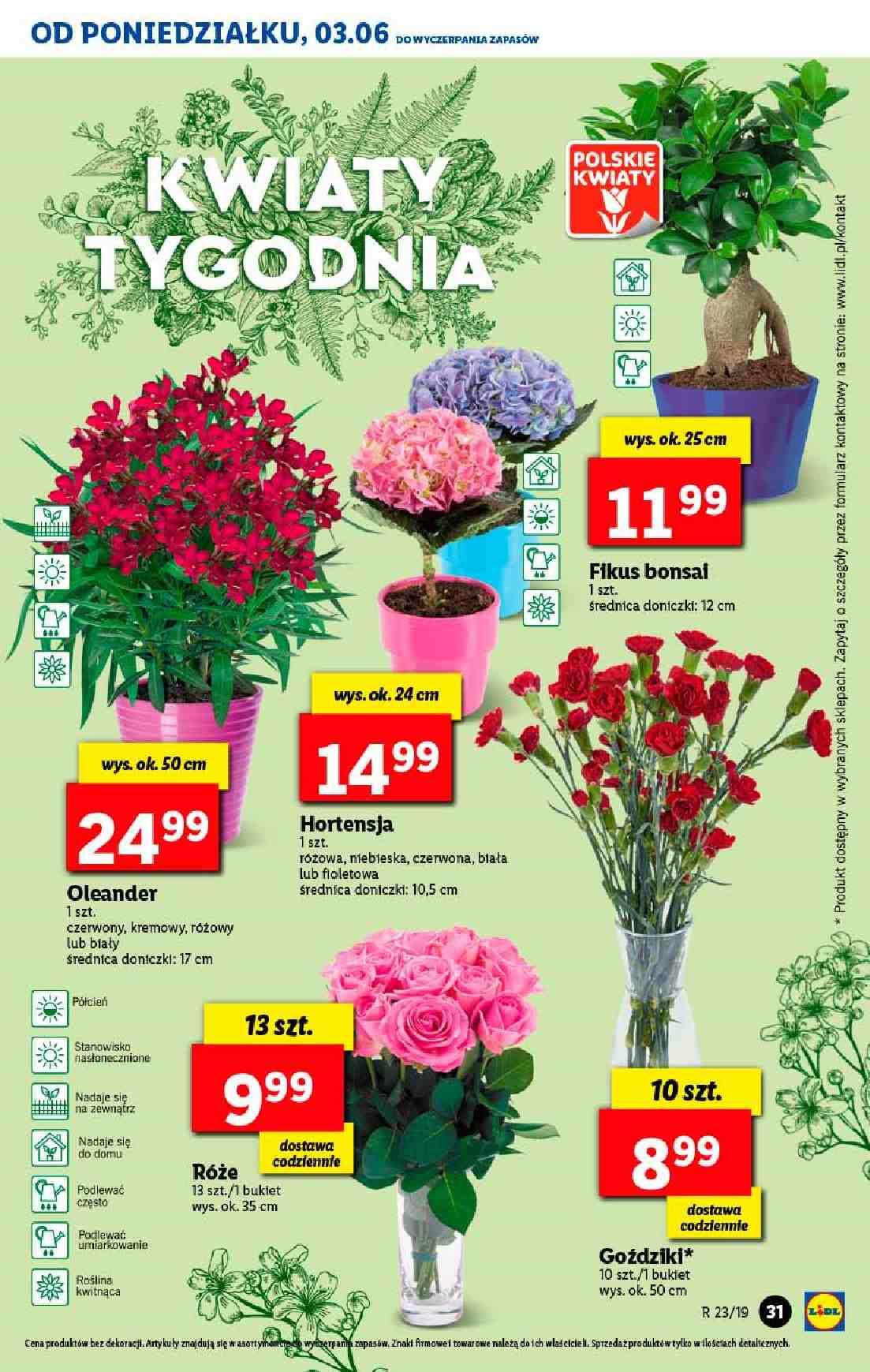 Gazetka promocyjna Lidl str. 31