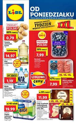 Lidl gazetka 16.08