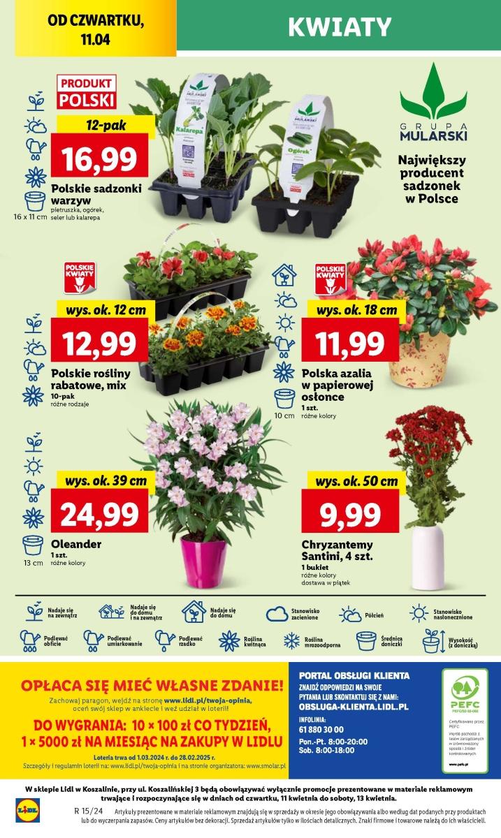 Gazetka promocyjna Lidl str. 37