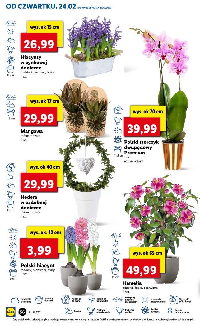 Gazetka promocyjna Lidl str. 56
