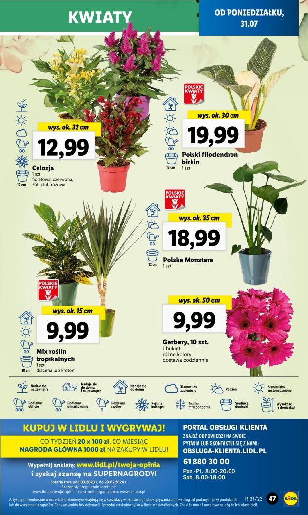 Gazetka promocyjna Lidl str. 59